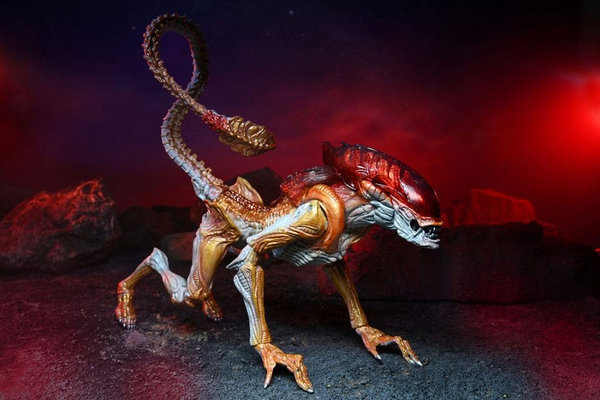 Alien 7'' Scale Kenner Tribute Panther Alien action figur Neu