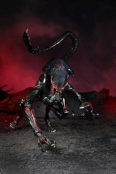 Alien 7'' Scale Kenner Tribute Night Cougar Alien action figur Neu
