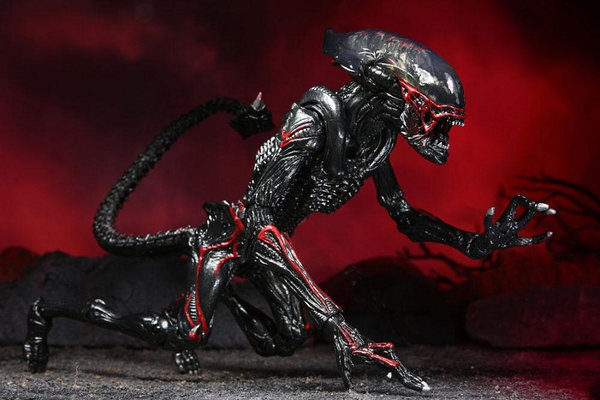 Alien 7'' Scale Kenner Tribute Night Cougar Alien action figur Neu